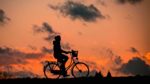 Il bello di visitare Pisa in bicicletta