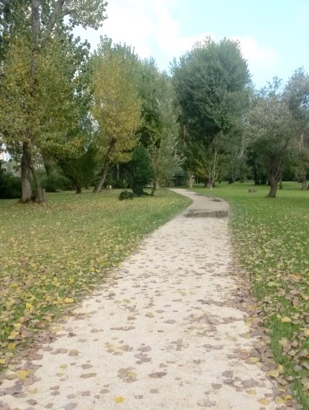 Parco Marecchia rimini