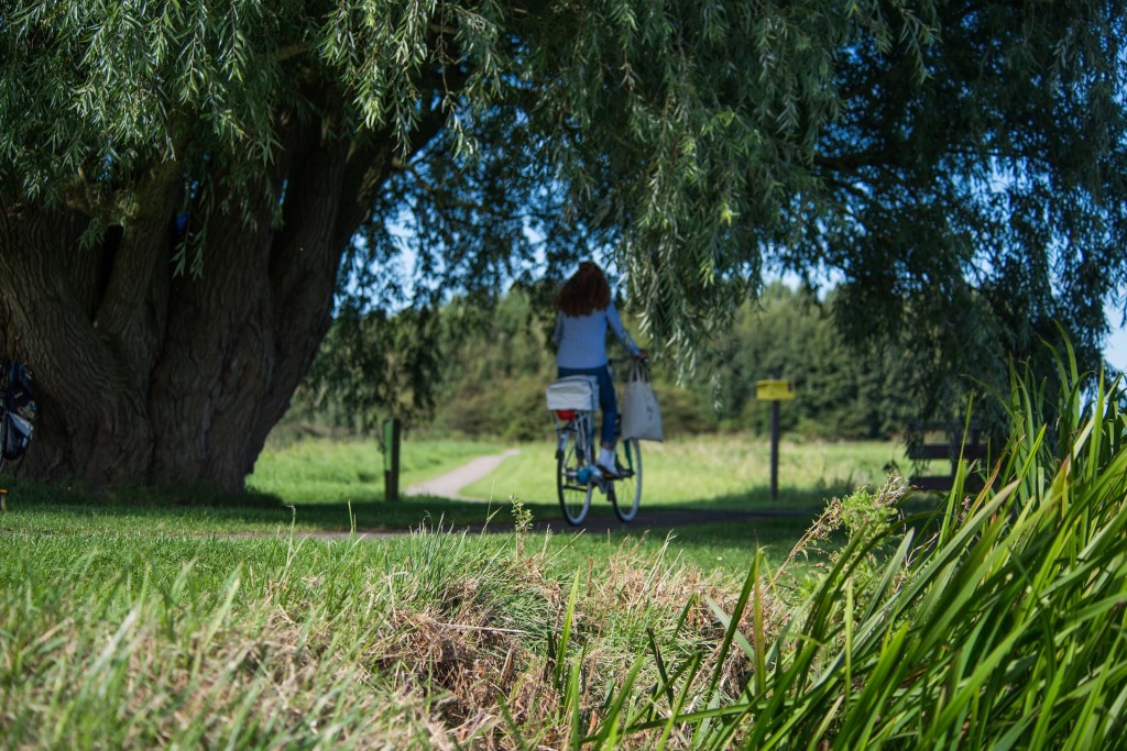 mamma-bici-bicicletta-bikeblog-pedalo-cargobike-bikeblog-rimini