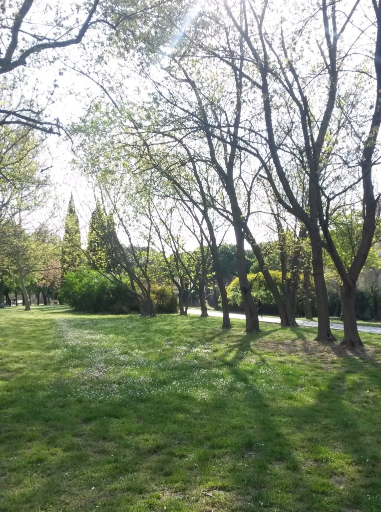 Parco-rimini-bici