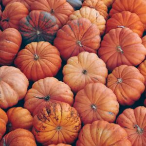 RIMINI: GLI APPUNTAMENTI PIU’ ORRIBILI DI HALLOWEEN