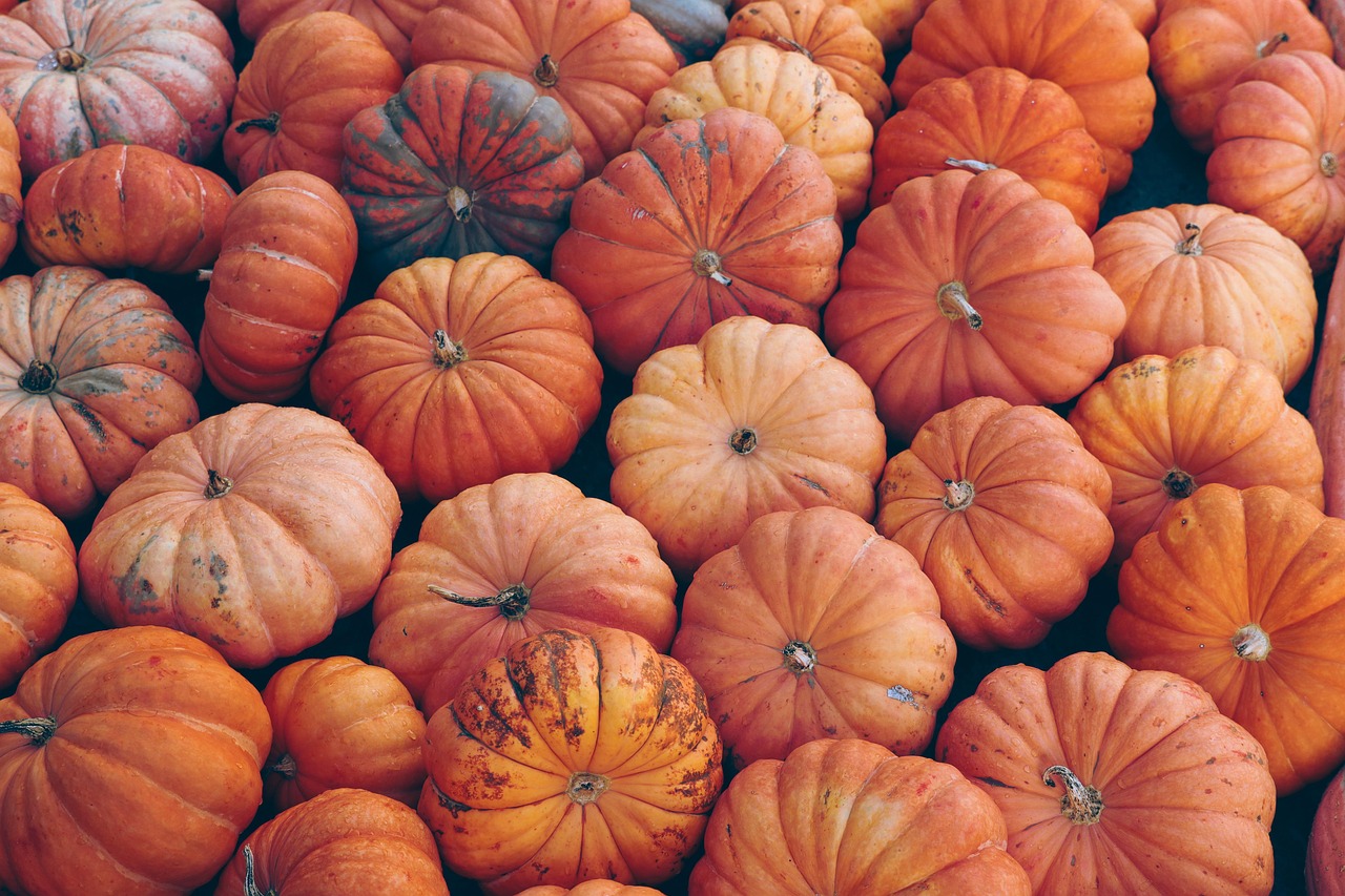 RIMINI: GLI APPUNTAMENTI PIU’ ORRIBILI DI HALLOWEEN